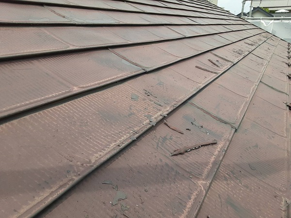 埼玉県さいたま市岩槻区　K様邸　屋根塗装・外壁塗装　屋根と外壁のケレン作業　スクレーパー (3)