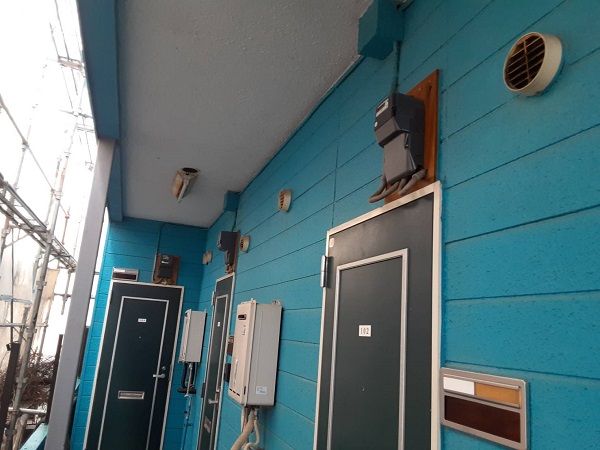 埼玉県さいたま市南区　アパート　外壁塗装　なぜ塗装をするのに高圧洗浄で外壁を綺麗にするのか　ツタの撤去 (1)
