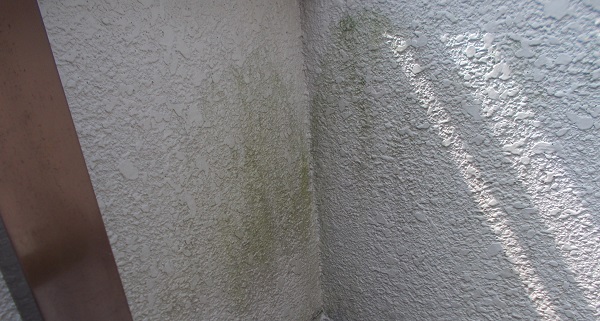 鴻巣市　C様邸　屋根塗装・外壁塗装 (89)