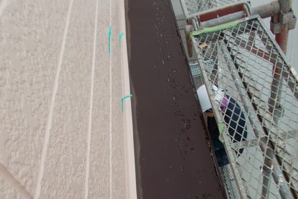 埼玉県さいたま市　N様邸　屋根塗装・外壁塗装 (14)